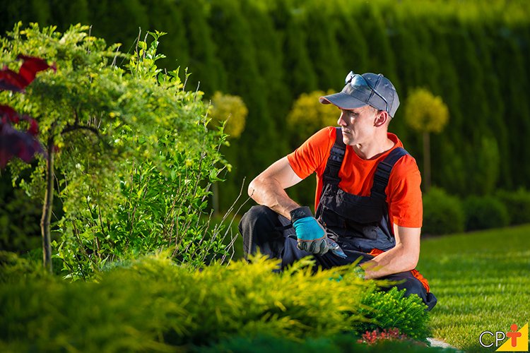 Manutenção Jardim